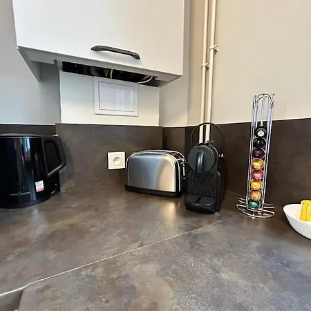 Forum Graphic Magnifique T2 Spacieux Au Centre Ρενς